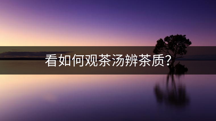 看如何觀茶湯辨茶質(zhì)？