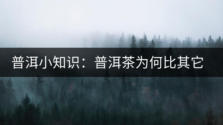 普洱小知識：普洱茶為何比其它茶葉耐泡？