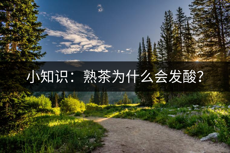 小知識(shí)：熟茶為什么會(huì)發(fā)酸？