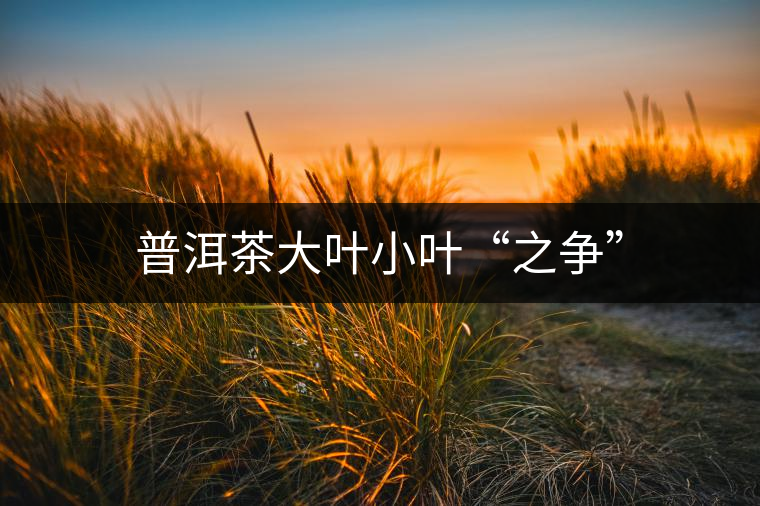 普洱茶大葉小葉“之爭” 普洱茶大葉小葉“之爭”