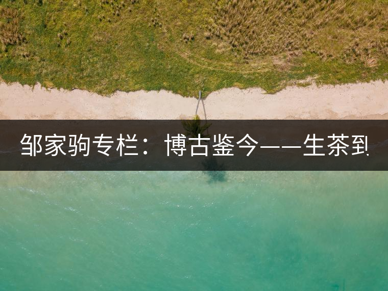 鄒家駒專欄：博古鑒今——生茶到底是不是普洱茶？