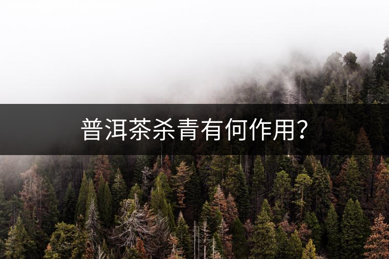 普洱茶殺青有何作用？