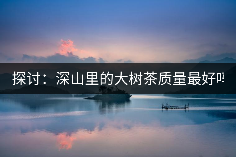 探討：深山里的大樹茶質(zhì)量最好嗎？