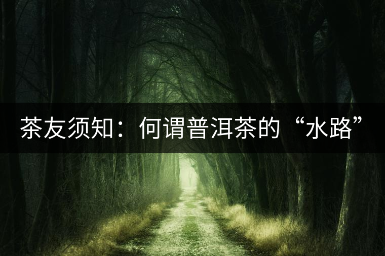 茶友須知：何謂普洱茶的“水路”？