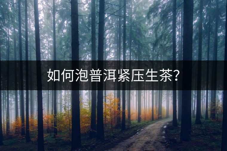 如何泡普洱緊壓生茶？