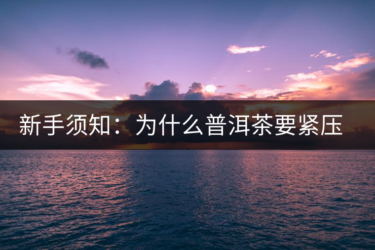 新手須知：為什么普洱茶要緊壓而不散存？