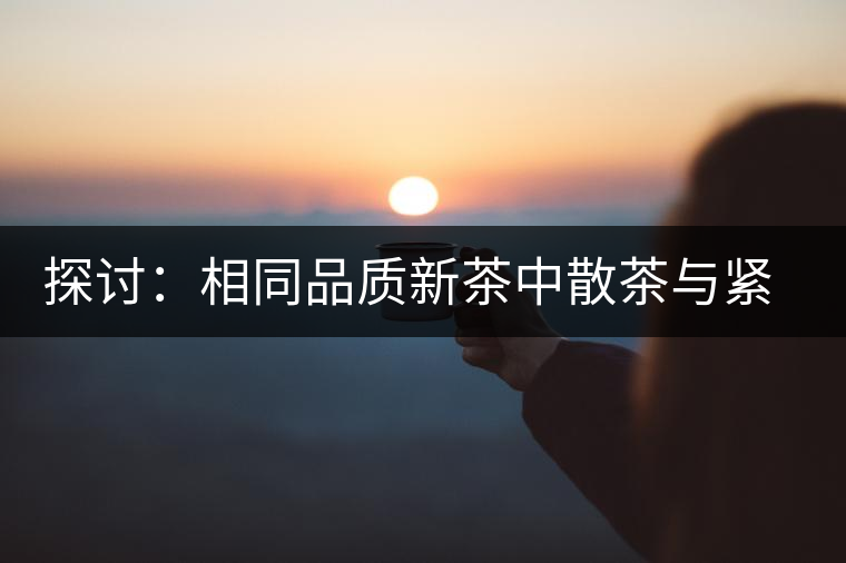 探討：相同品質(zhì)新茶中散茶與緊壓茶哪個(gè)好？