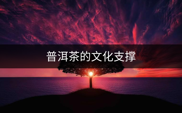 普洱茶的文化支撐 普洱茶的文化支撐