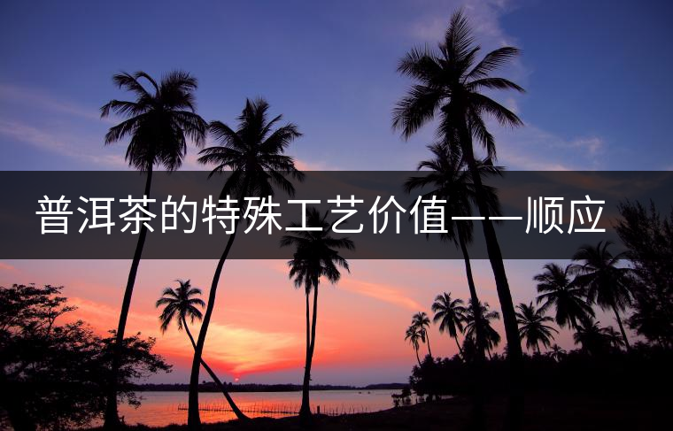 普洱茶的特殊工藝價(jià)值——順應(yīng)自然的啟示 普洱茶的特殊工藝價(jià)值——順應(yīng)自然的啟示