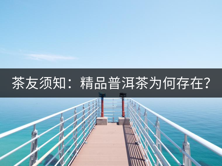 茶友須知：精品普洱茶為何存在？