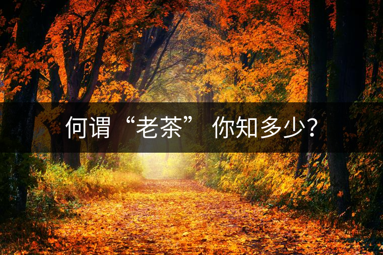 何謂“老茶” 你知多少？