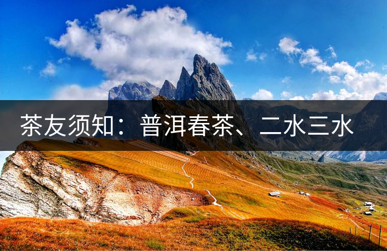 茶友須知：普洱春茶、二水三水茶和谷花茶