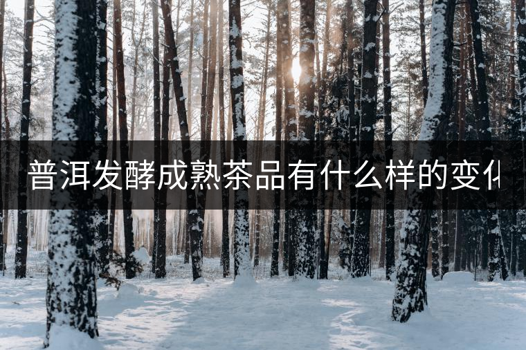 普洱發(fā)酵成熟茶品有什么樣的變化？