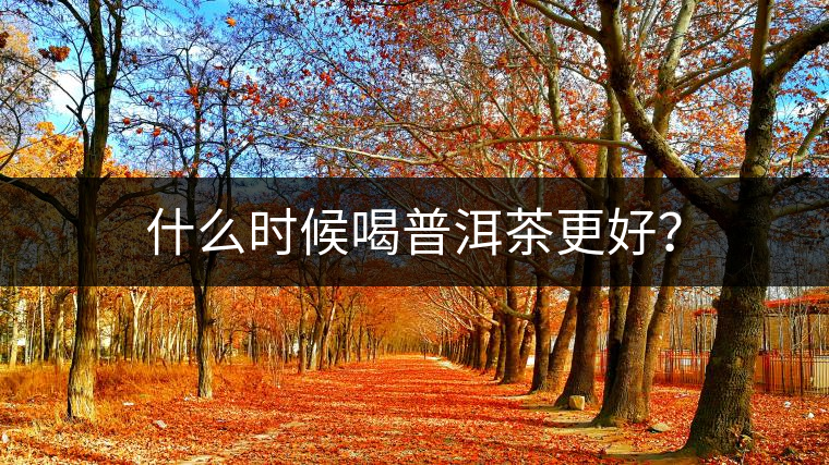 什么時(shí)候喝普洱茶更好？