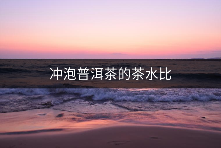 沖泡普洱茶的茶水比
