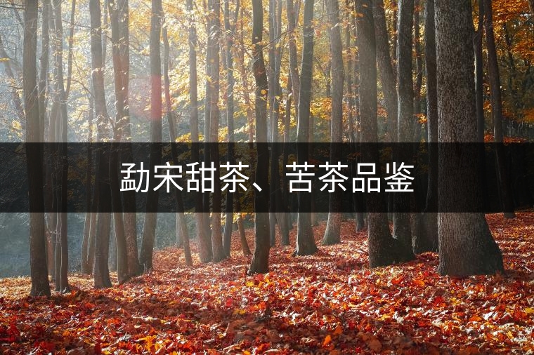勐宋甜茶、苦茶品鑒