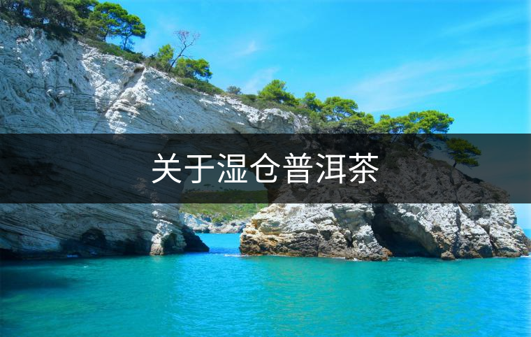 關于濕倉普洱茶