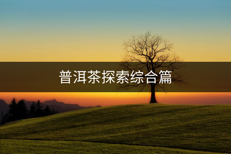 普洱茶探索綜合篇