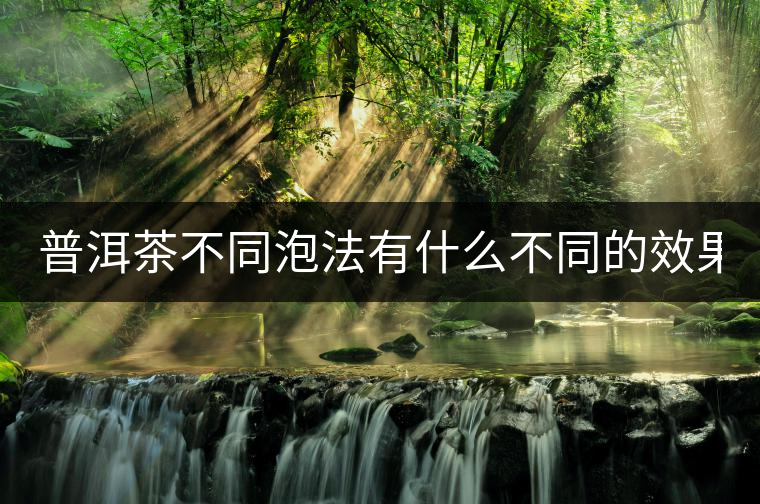 普洱茶不同泡法有什么不同的效果？