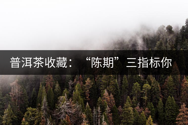 普洱茶收藏：“陳期”三指標你知道嗎？