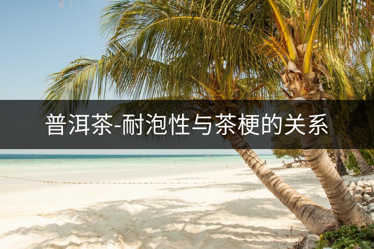 普洱茶-耐泡性與茶梗的關(guān)系 普洱茶-耐泡性與茶梗的關(guān)系