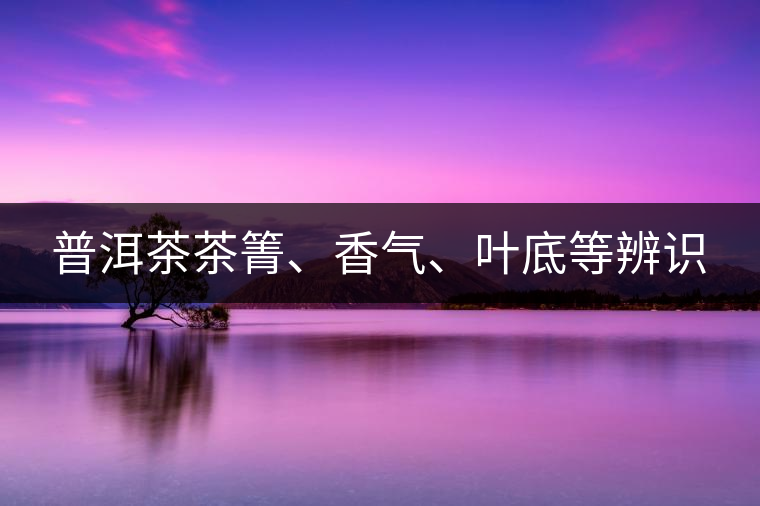 普洱茶茶箐、香氣、葉底等辨識