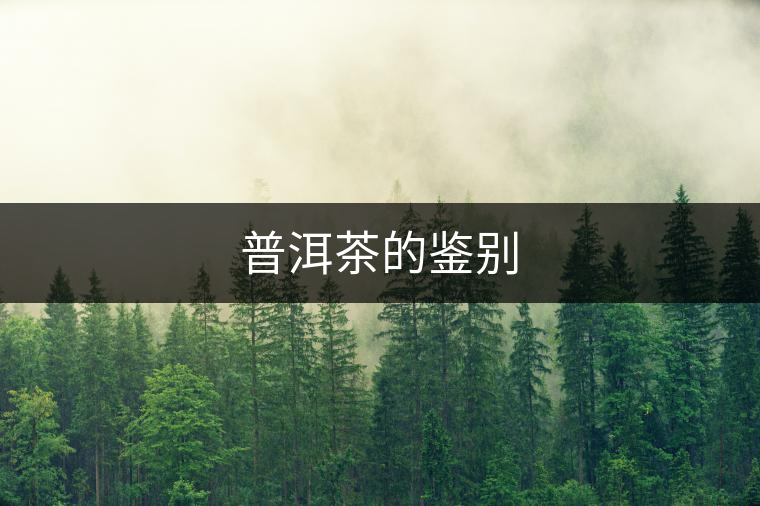 普洱茶的鑒別 普洱茶的鑒別