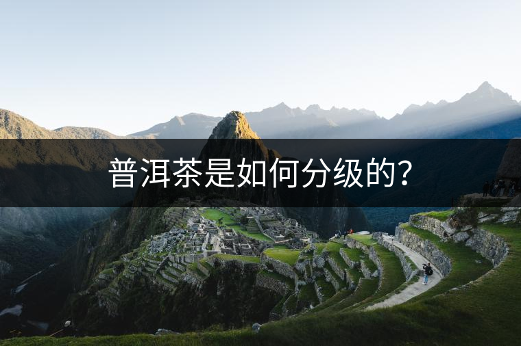 普洱茶是如何分級的？