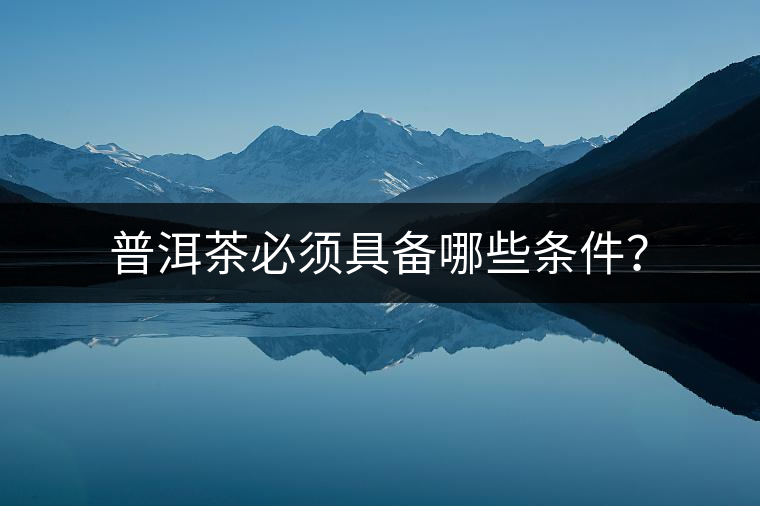 普洱茶必須具備哪些條件？