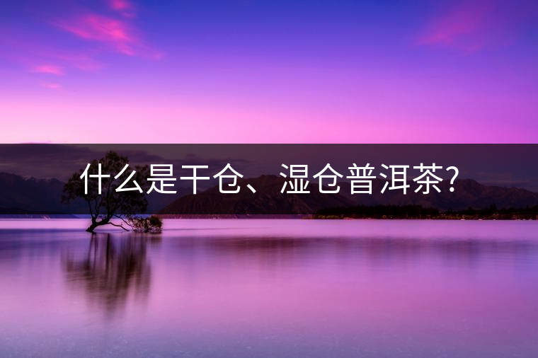 什么是干倉(cāng)、濕倉(cāng)普洱茶?
