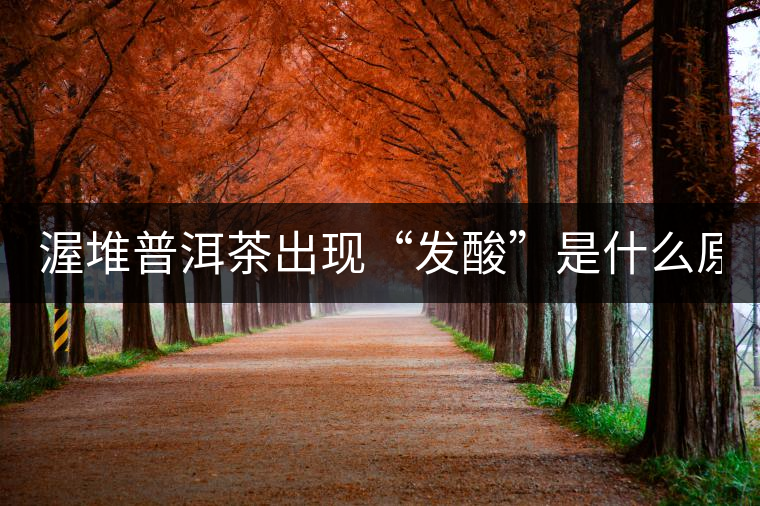 渥堆普洱茶出現(xiàn)“發(fā)酸”是什么原因？