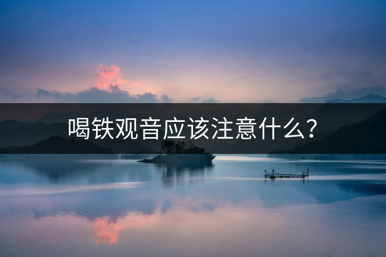 喝鐵觀音應(yīng)該注意什么？