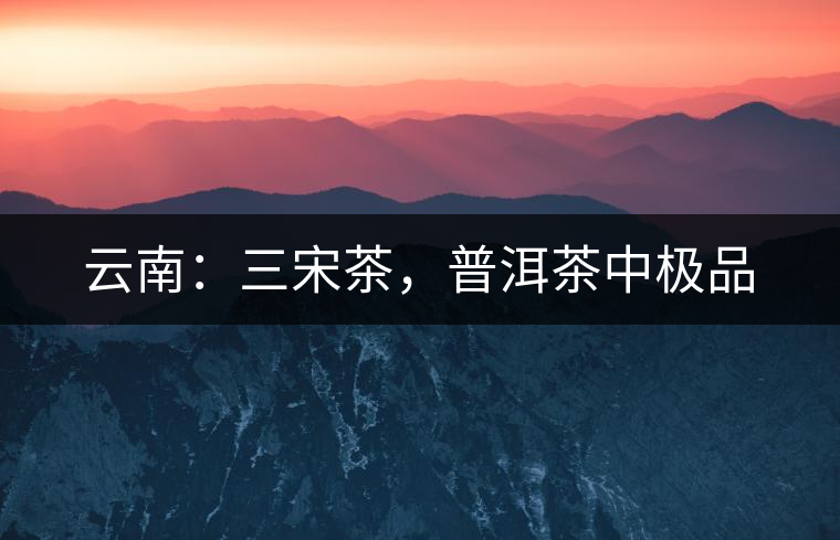 云南：三宋茶，普洱茶中極品
