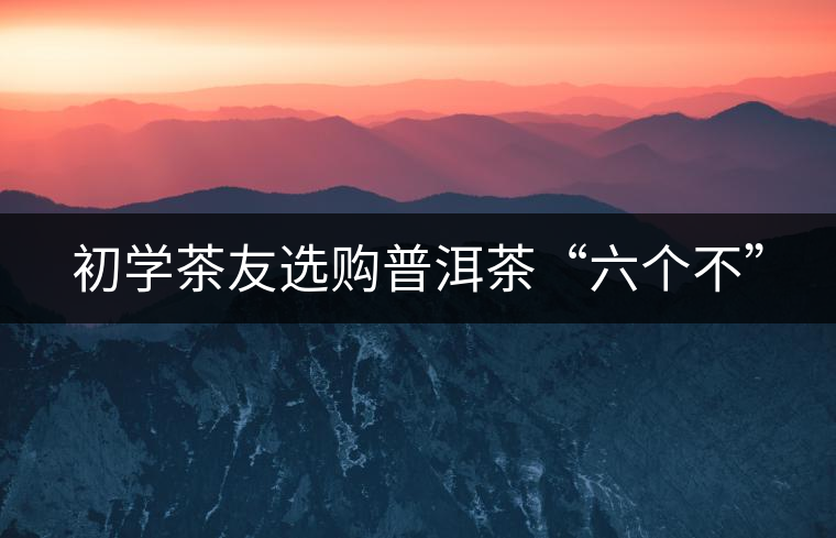 初學茶友選購普洱茶“六個不” 初學茶友選購普洱茶“六個不”