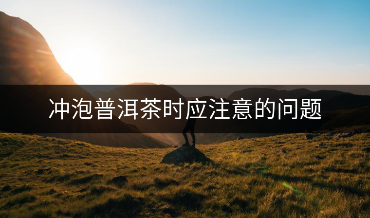 沖泡普洱茶時(shí)應(yīng)注意的問(wèn)題