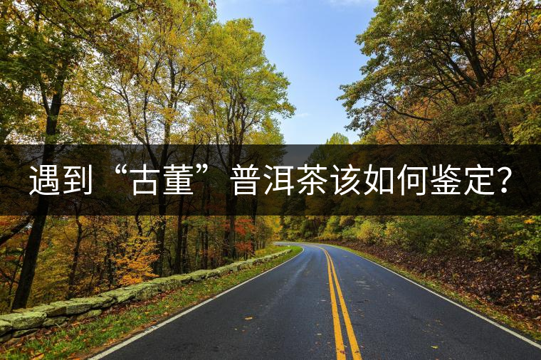 遇到“古董”普洱茶該如何鑒定？