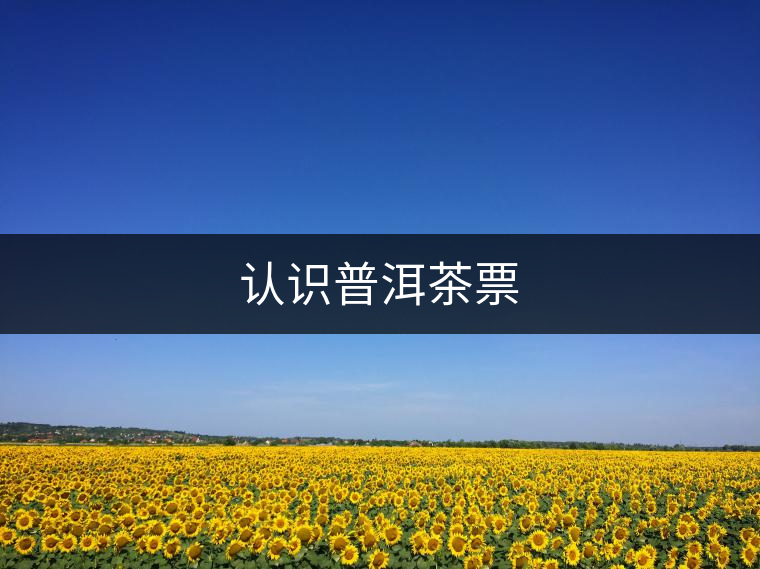 認(rèn)識(shí)普洱茶票 認(rèn)識(shí)普洱茶票