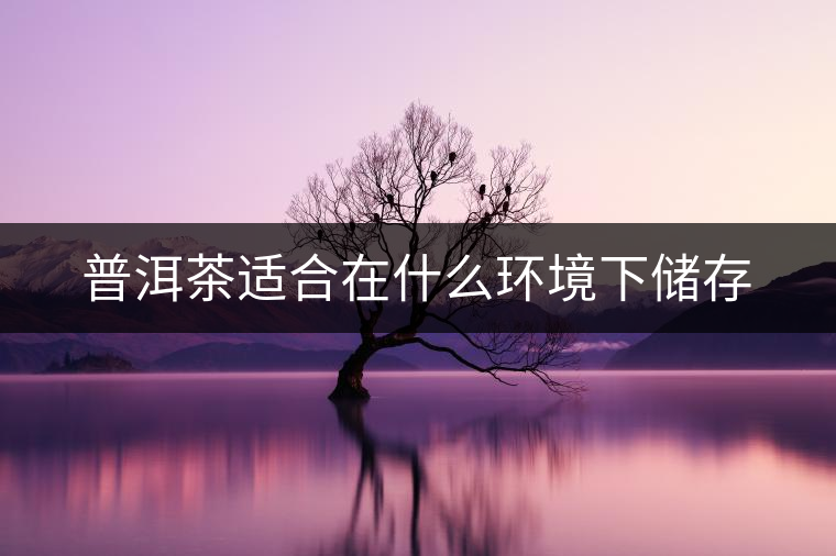 普洱茶適合在什么環(huán)境下儲(chǔ)存