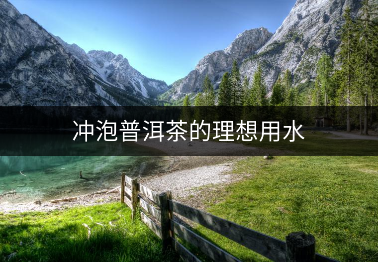 沖泡普洱茶的理想用水