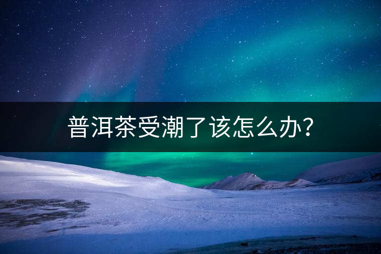 普洱茶受潮了該怎么辦？