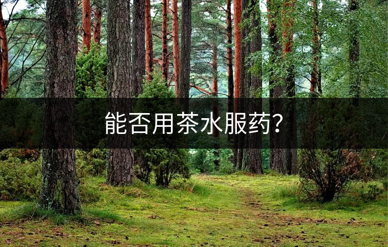 能否用茶水服藥？