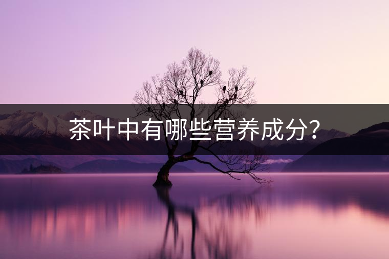 茶葉中有哪些營養(yǎng)成分？