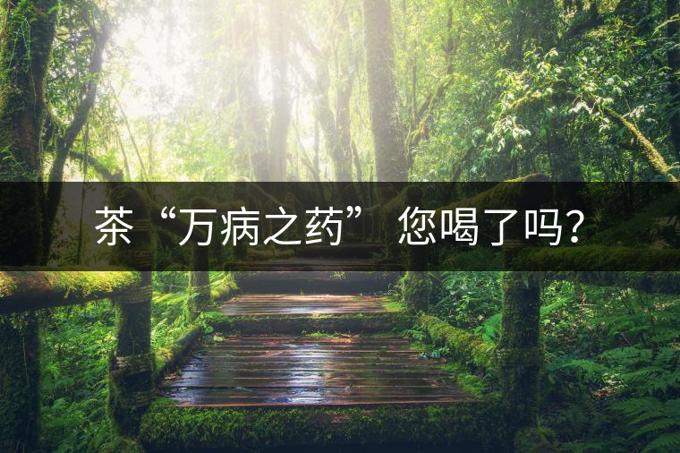茶“萬病之藥” 您喝了嗎？