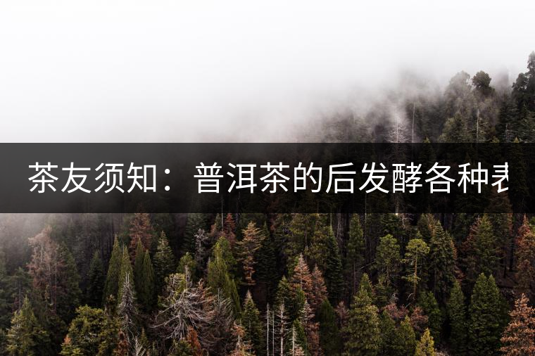 茶友須知：普洱茶的后發(fā)酵各種表現(xiàn) 喝普洱有益健康的奧妙所在！