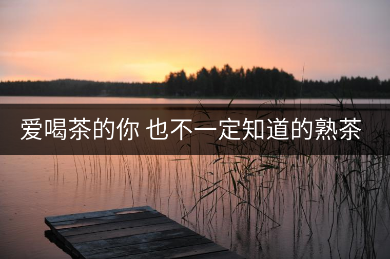 愛喝茶的你 也不一定知道的熟茶知識(shí)！