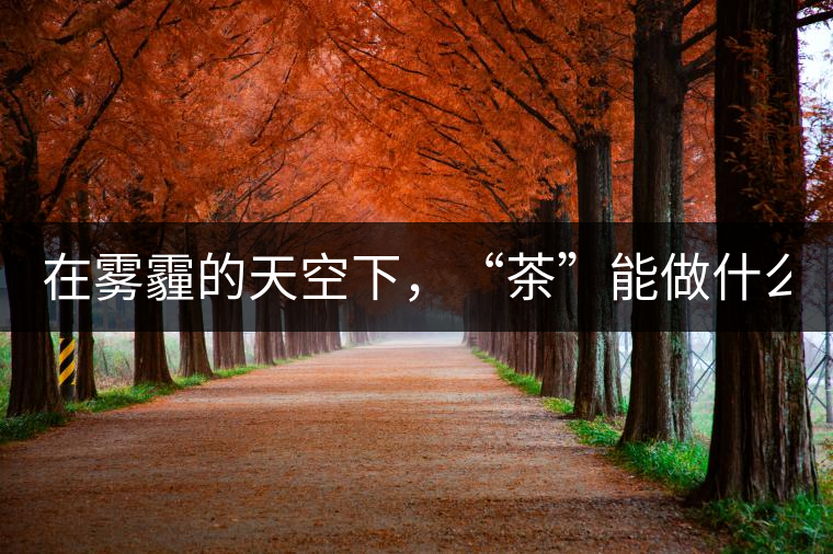 在霧霾的天空下，“茶”能做什么？