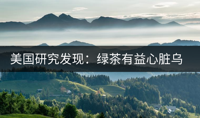 美國(guó)研究發(fā)現(xiàn):綠茶有益心臟烏龍茶瘦腰身 美國(guó)研究發(fā)現(xiàn):綠茶有益心臟烏龍茶瘦腰身