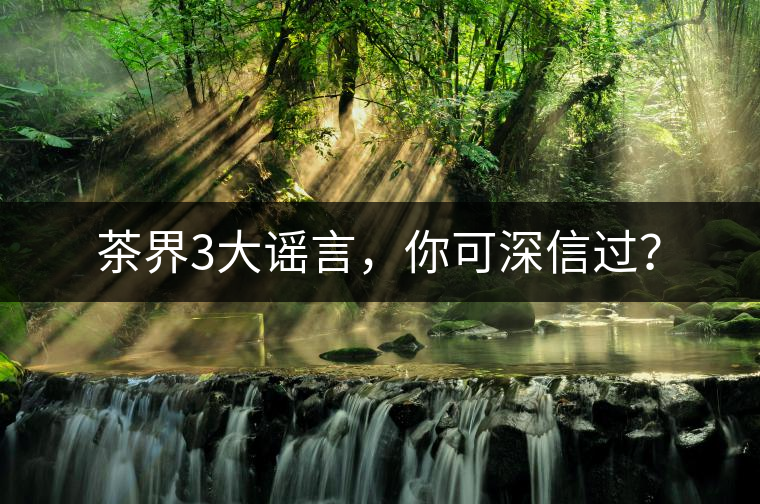 茶界3大謠言，你可深信過？