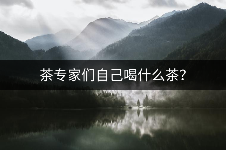 茶專家們自己喝什么茶？