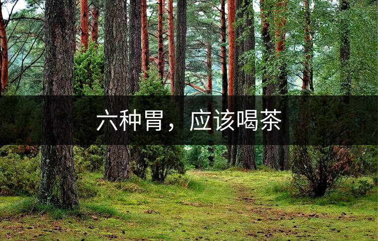 六種胃，應(yīng)該喝茶